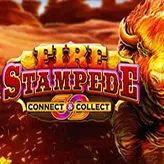 Winita Casino offers dynamic rewards for players