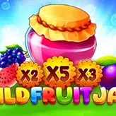 Winita Casino features tiered VIP program rewards